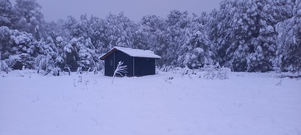 Cabaña Los Chilcos Chalet in Araucania, Chile