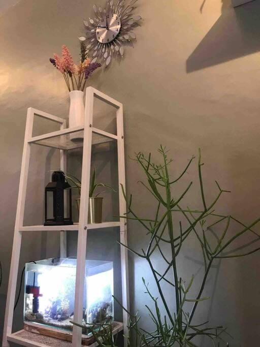 Photo of the whole room, Decorative detail