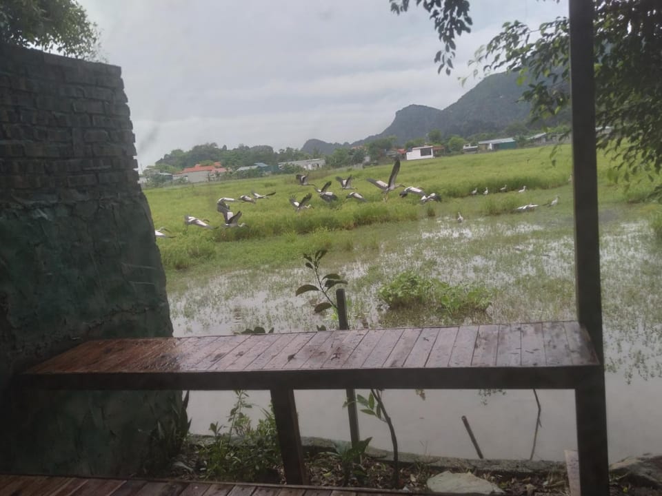Day, Natural landscape, Lake view, Mountain view, River view