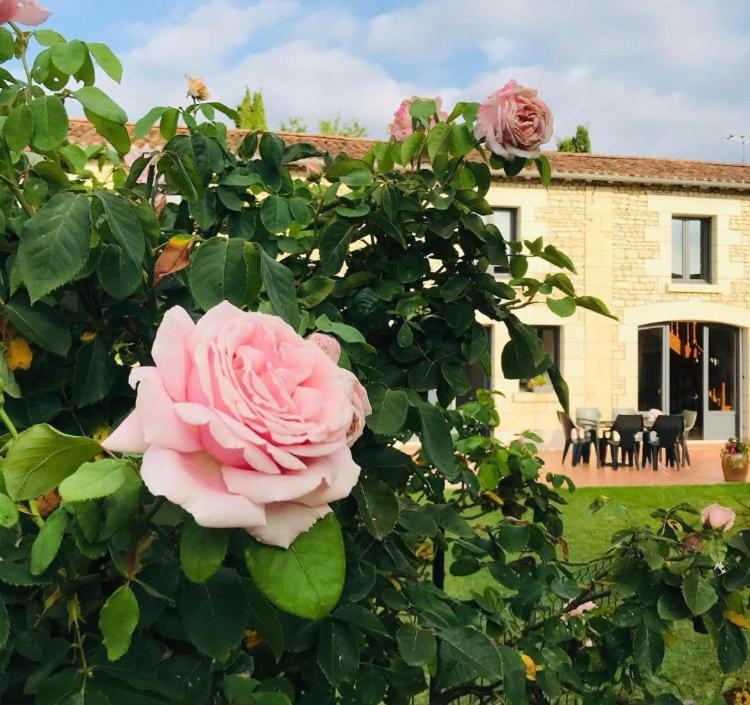 Gîte Au Boom Coeur - petit déjeuner inclus - SPA en option Bed and Breakfast in Nouvelle-Aquitaine