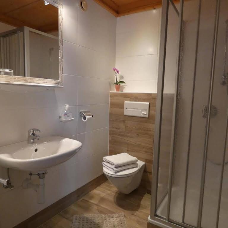 Shower, Toilet, Bathroom, towels