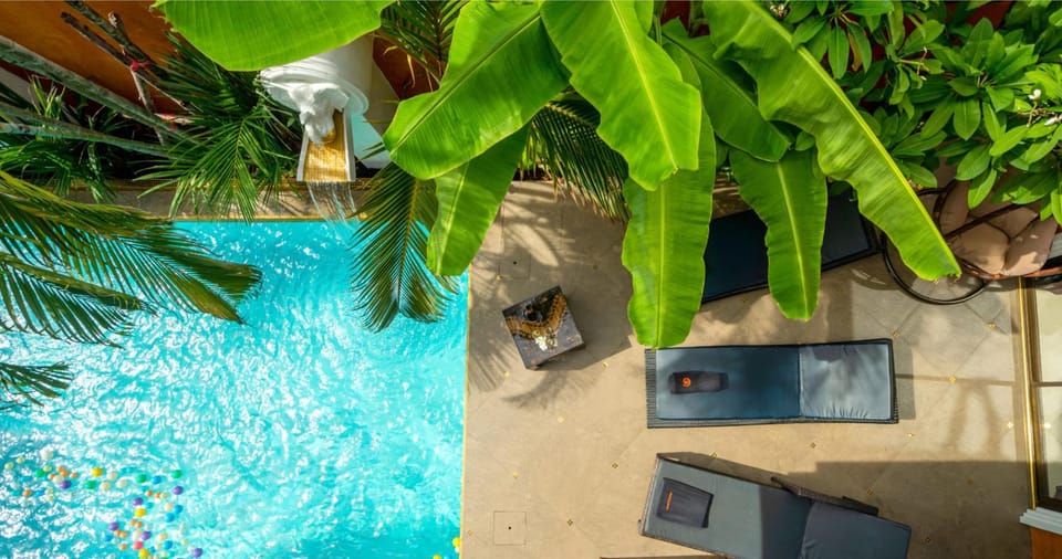 Day, Garden, Garden view, Pool view, Swimming pool, sunbed