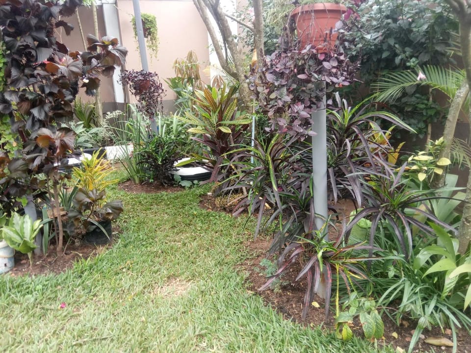 Green Homes Vacation rental in Uganda