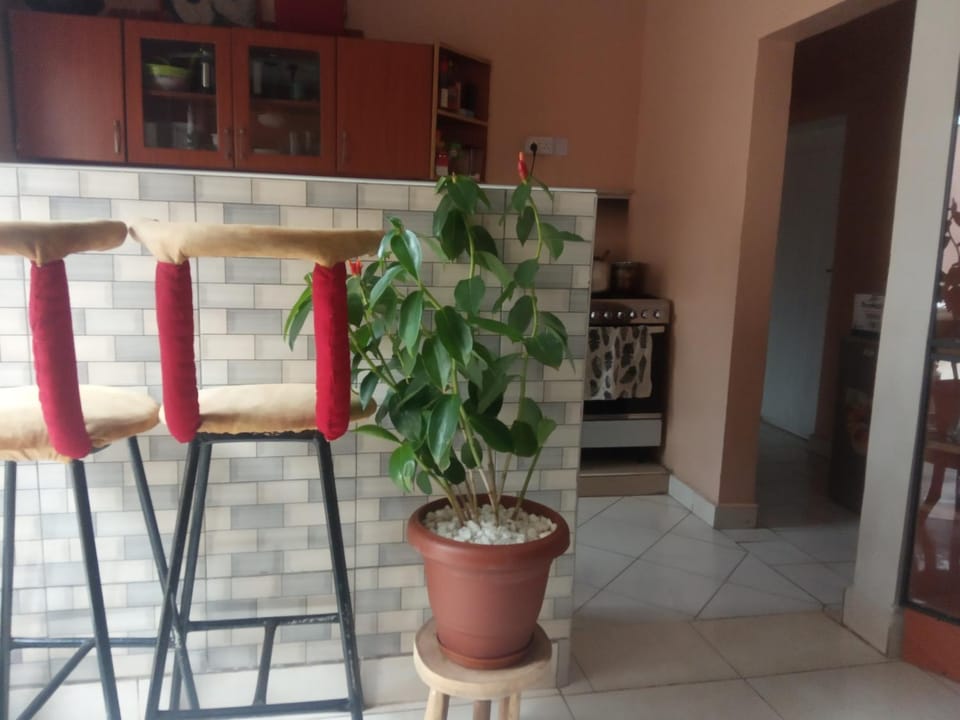 Green Homes Vacation rental in Uganda