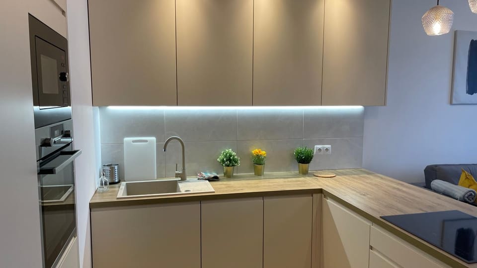 Kitchen or kitchenette, dishwasher, stove