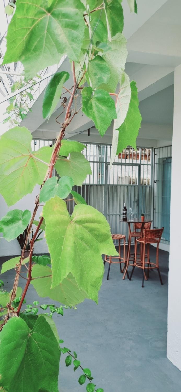 Apartamento Vila Aconchego Cinza Apartment in Salvador