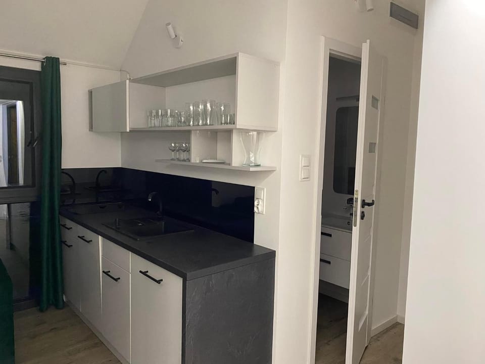 Kitchen or kitchenette, dishwasher, pet friendly, stove, wardrobe