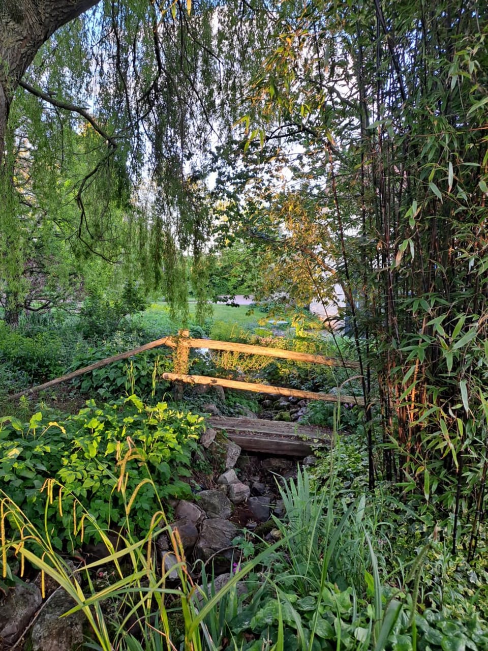 Garden view