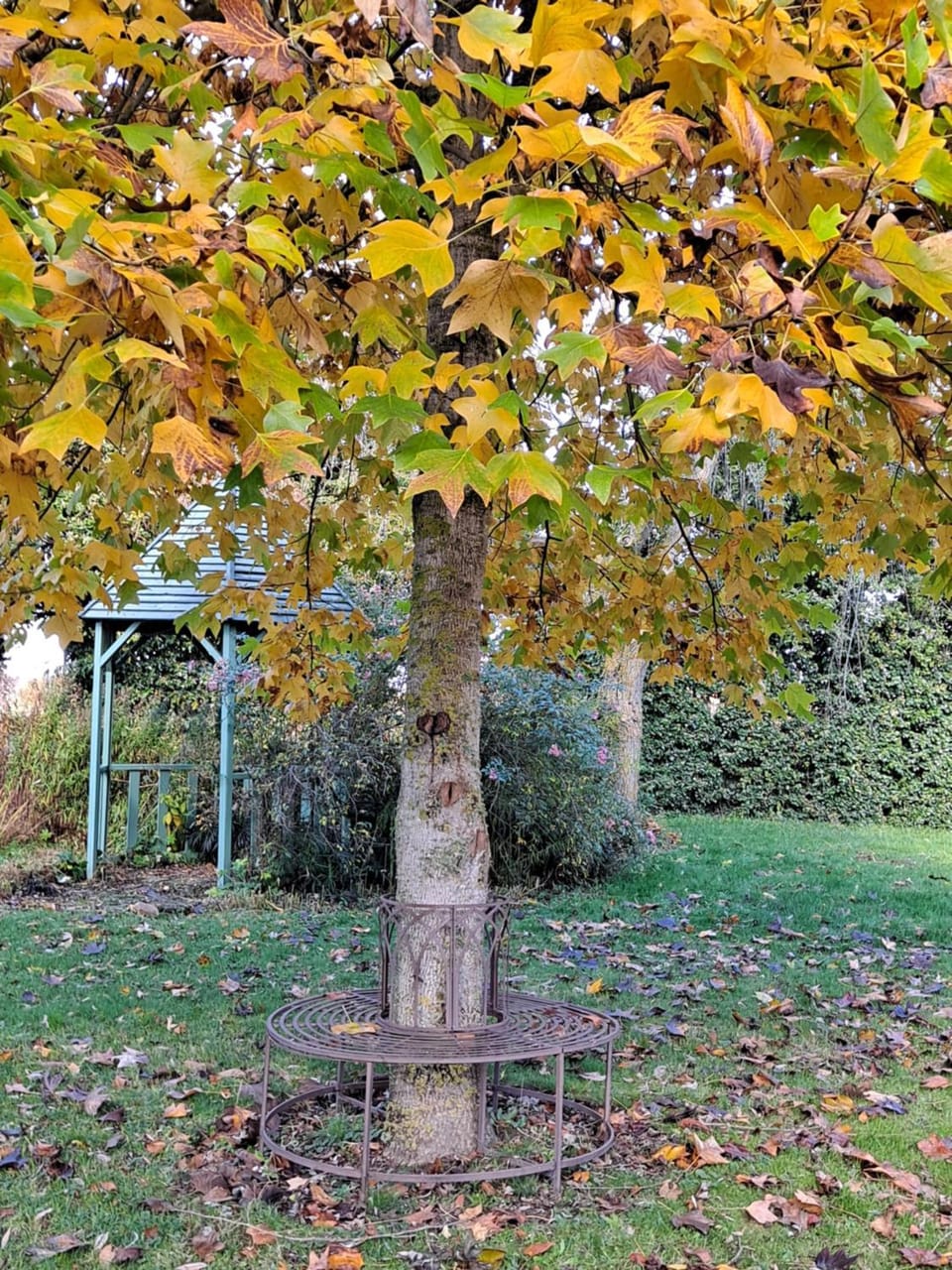 Garden, Garden view