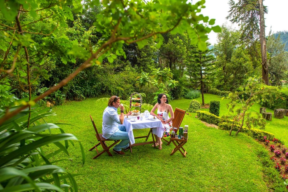 Garden, Non alcoholic drinks