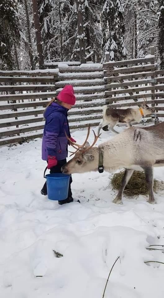 Winter, Animals