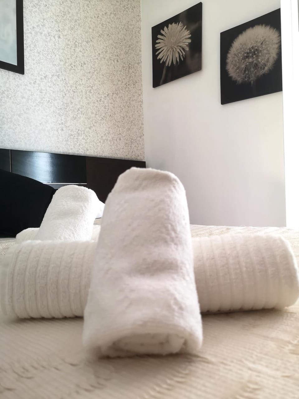 La Casita del Arte Apartment in Cadiz