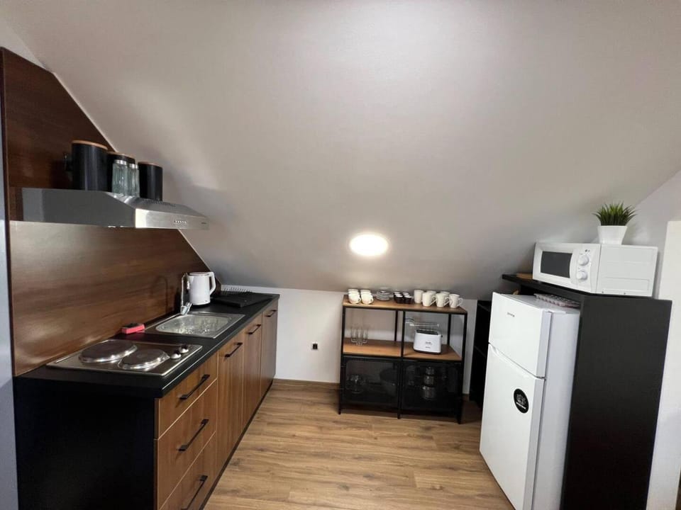 Kitchen or kitchenette, dishwasher, minibar, stove, toaster