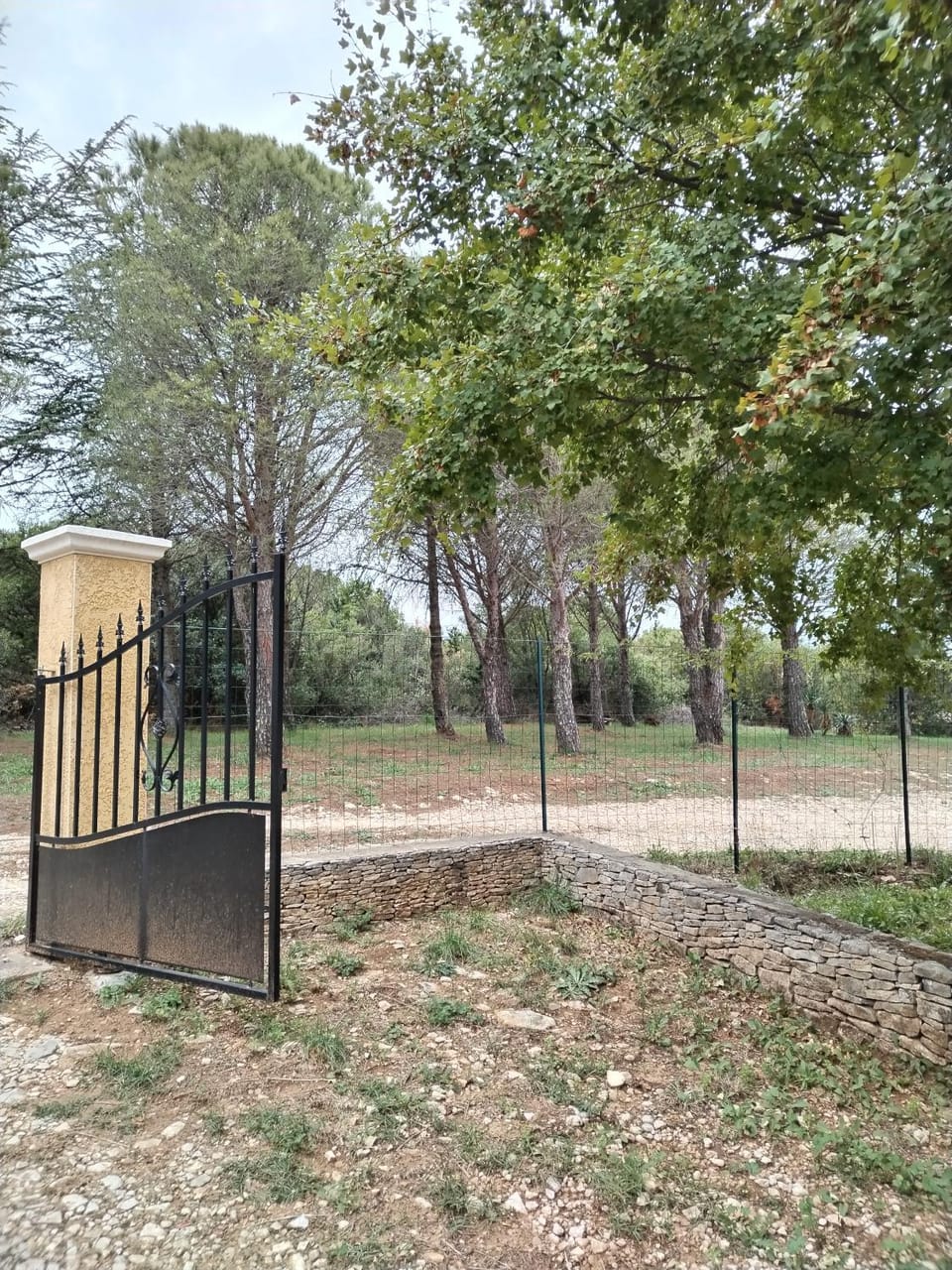 Facade/entrance, Spring, Garden view