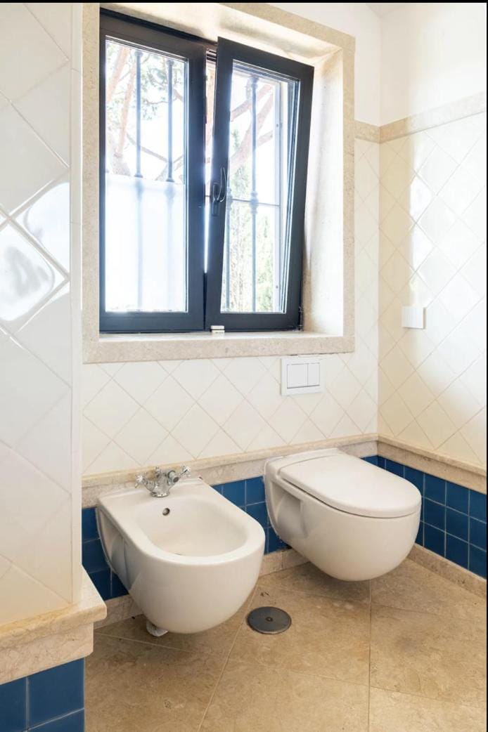 Toilet, Bathroom, bidet