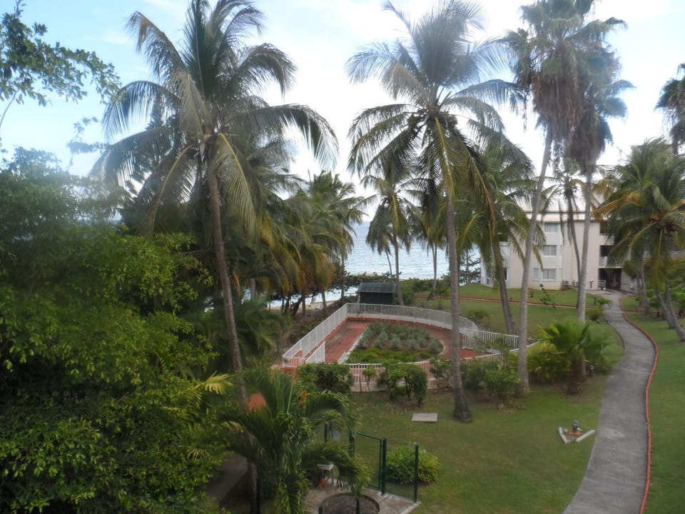 Garden, Garden view