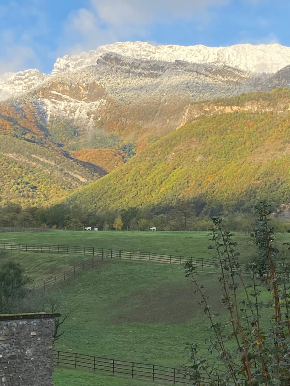Natural landscape