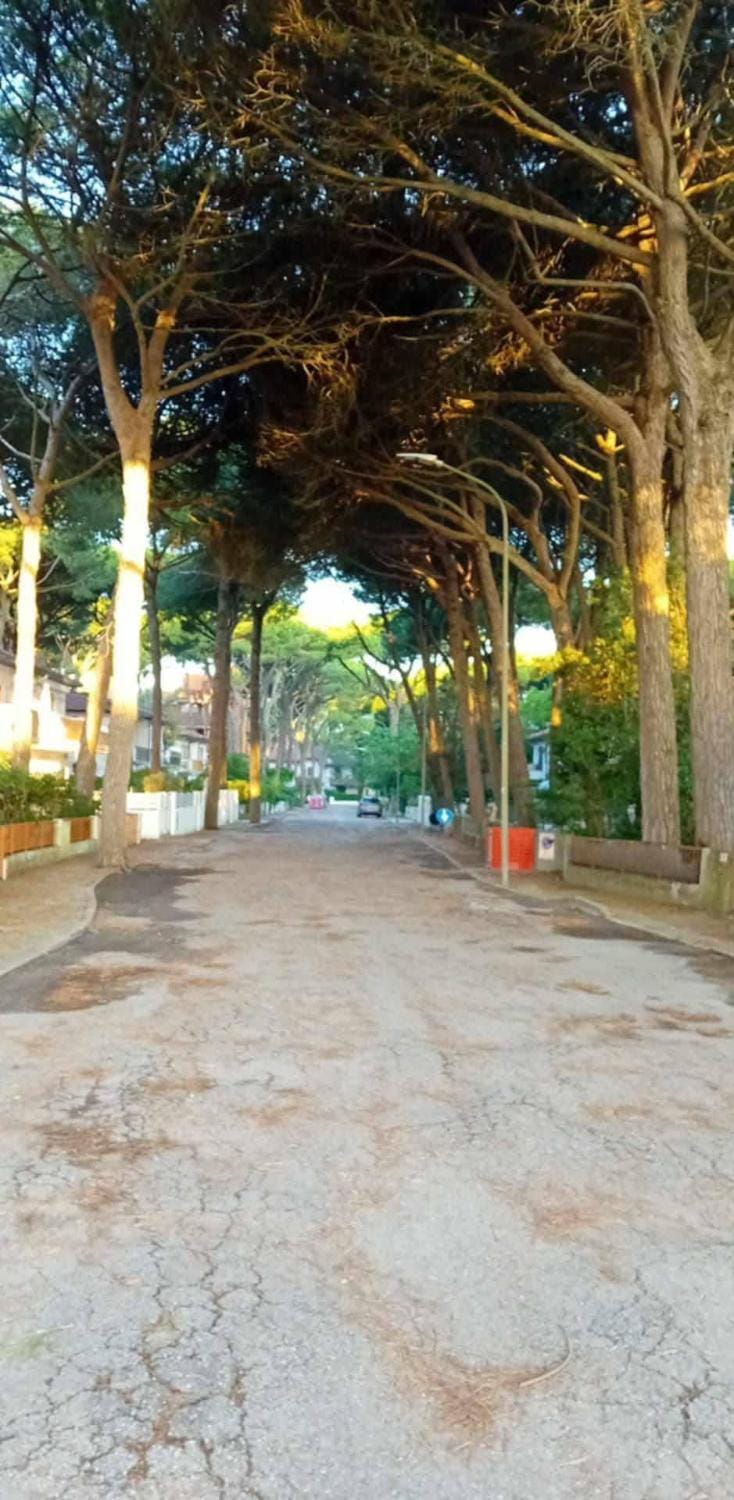 MareBlue Mobilhomes on Camping Mare e Pineta Campground/ 
RV Resort in Emilia-Romagna