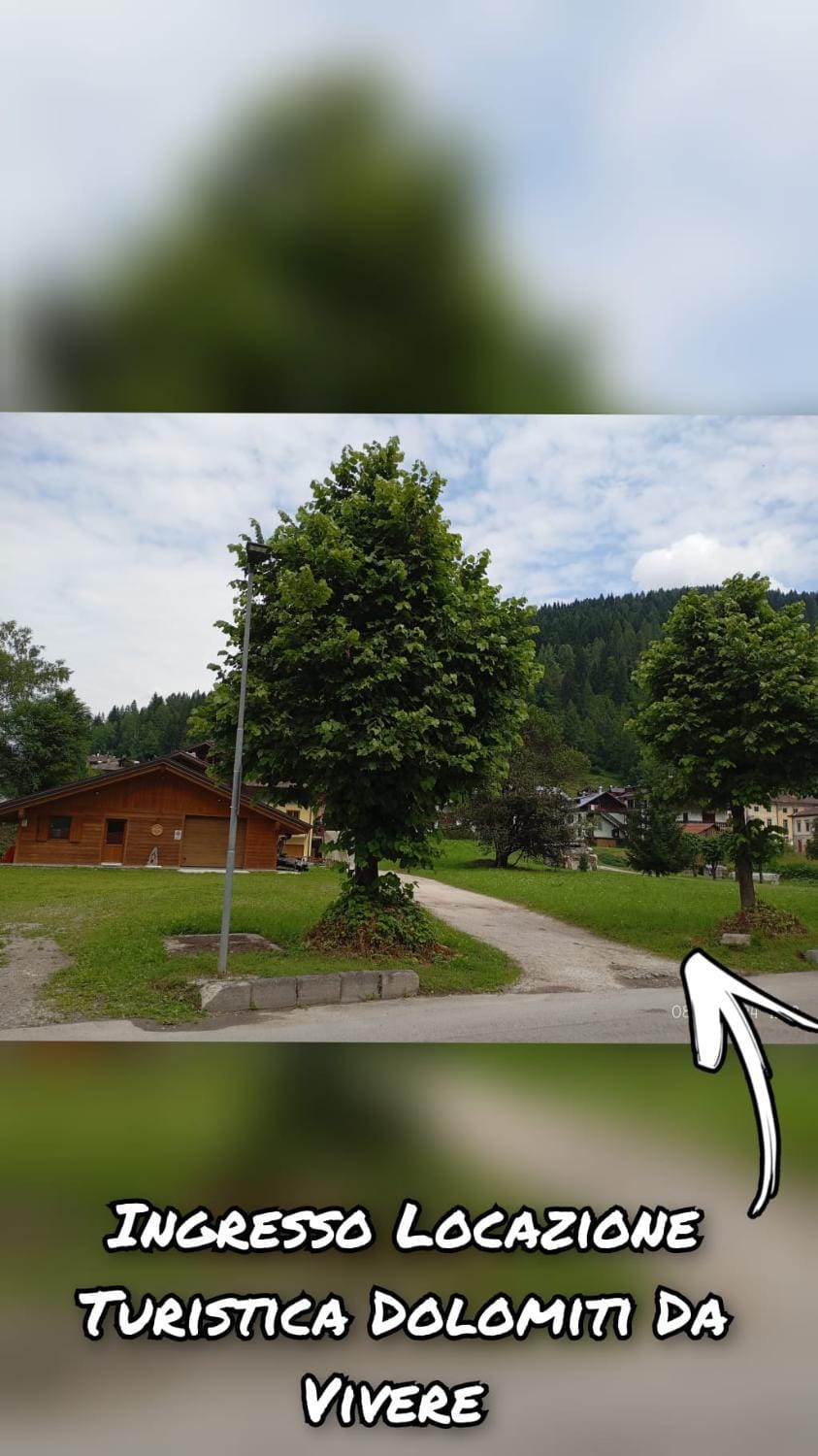 DOLOMITI DA VIVERE Apartment in Veneto
