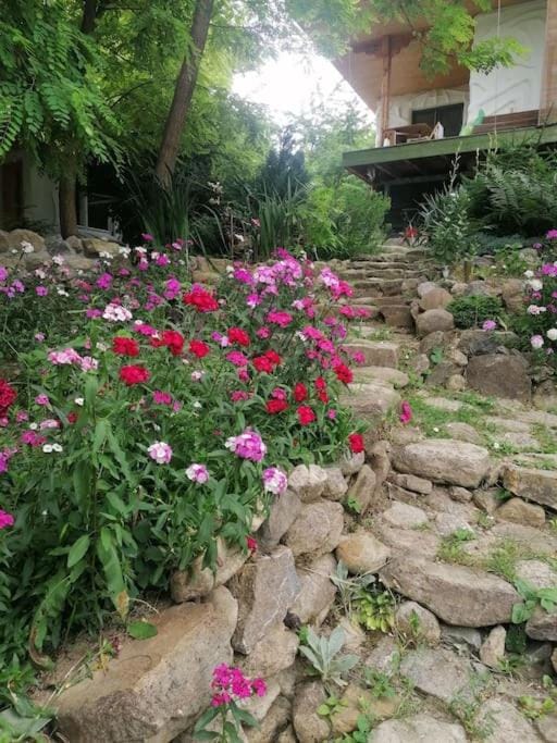 Casa de oaspeti adorabila aproape de natura Apartment in Romania