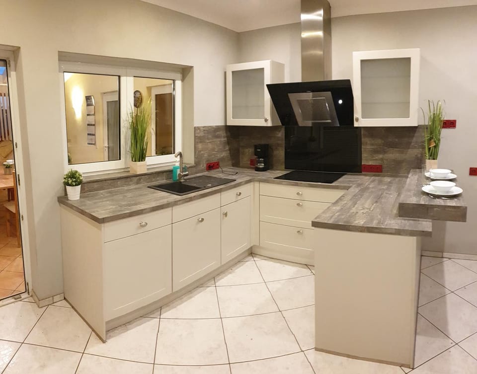 Kitchen or kitchenette, dishwasher, minibar, pet friendly, stove