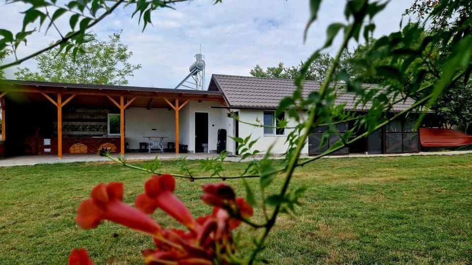 BBQ facilities, Garden