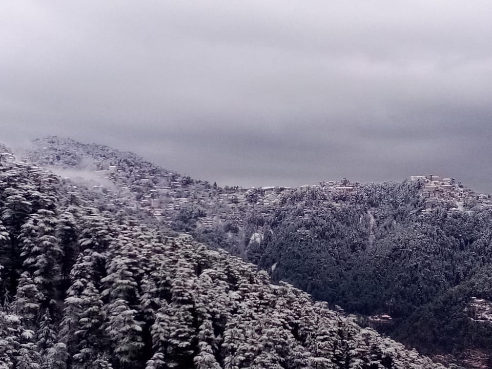 Shimla Regency Bed and Breakfast in Himachal Pradesh