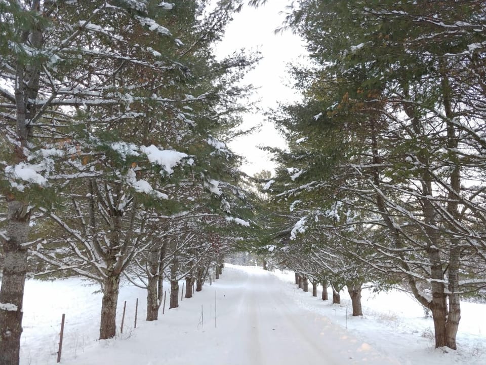 Winter