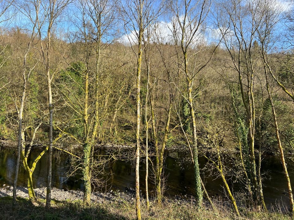 View (from property/room)