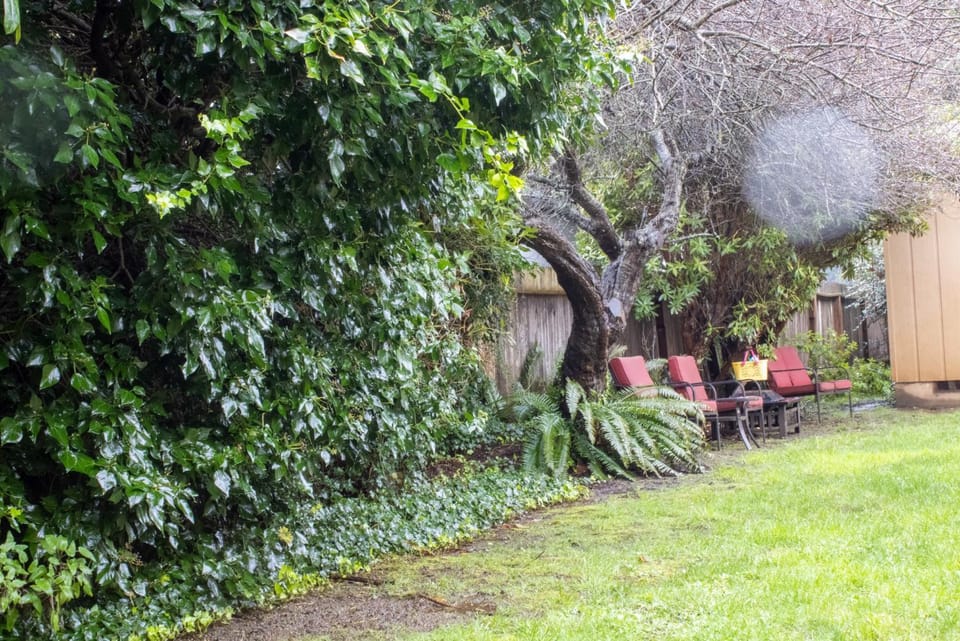 The Redwood SkyWalk Retreat at Sequoia Park Zoo Projector Billiards Foosball Darts Firepit House in Eureka