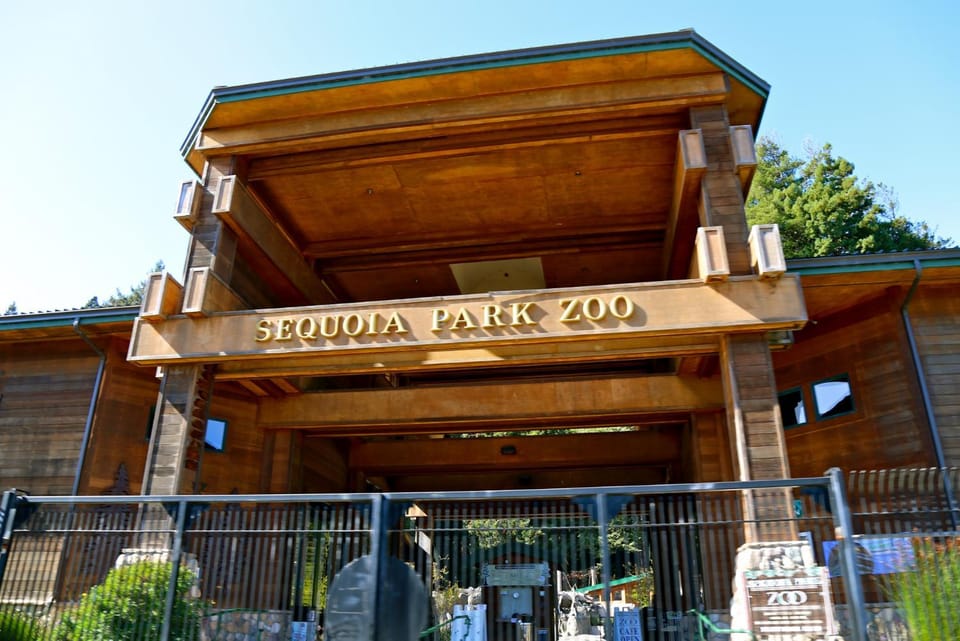 The Redwood SkyWalk Retreat at Sequoia Park Zoo Projector Billiards Foosball Darts Firepit House in Eureka