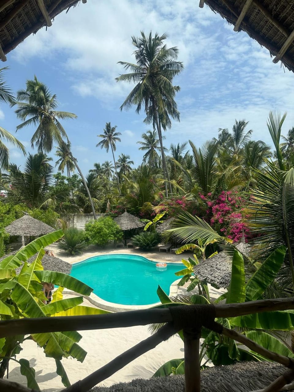 Garden, View (from property/room), Pool view