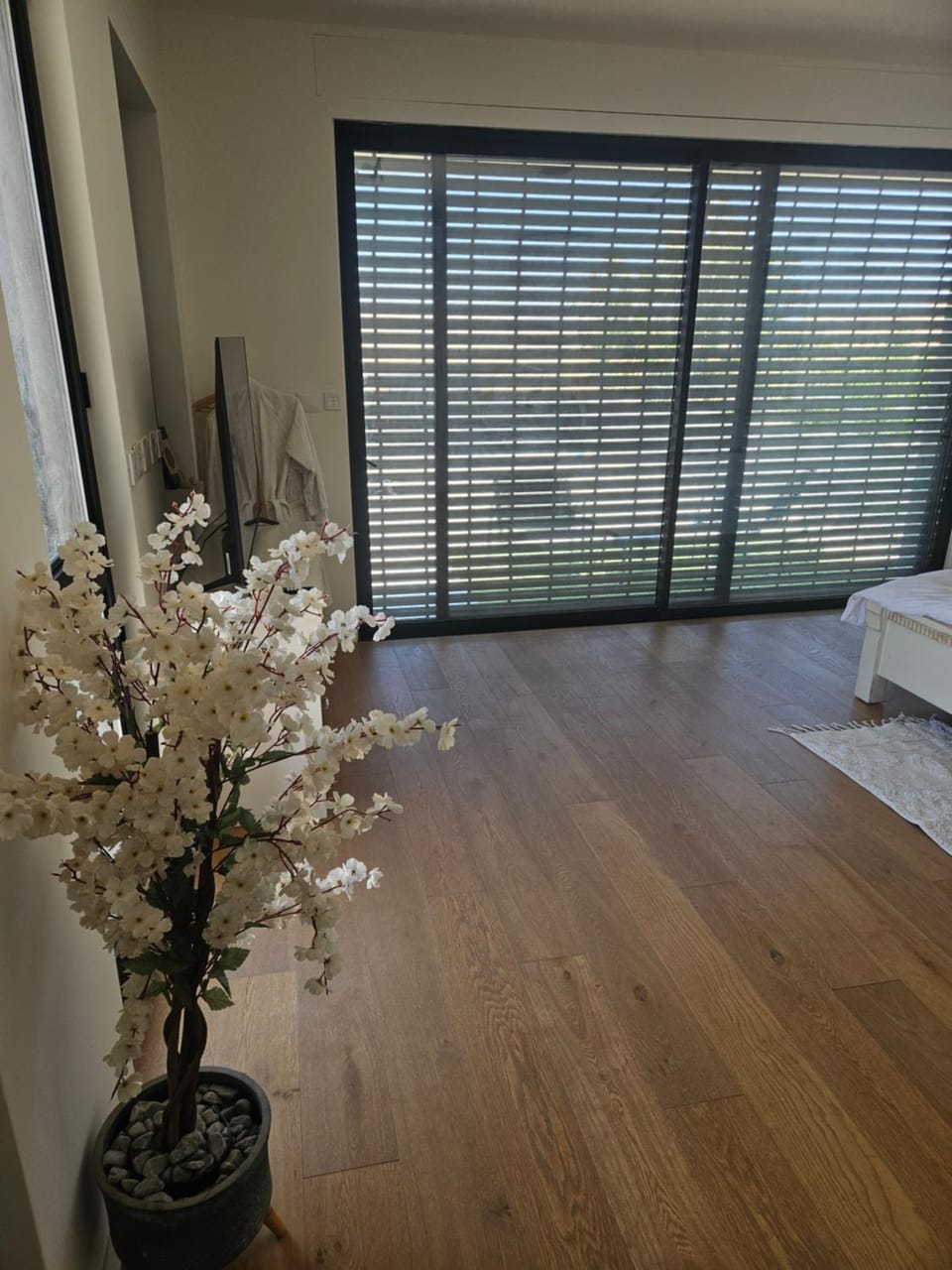 נס הבריאה House in South District