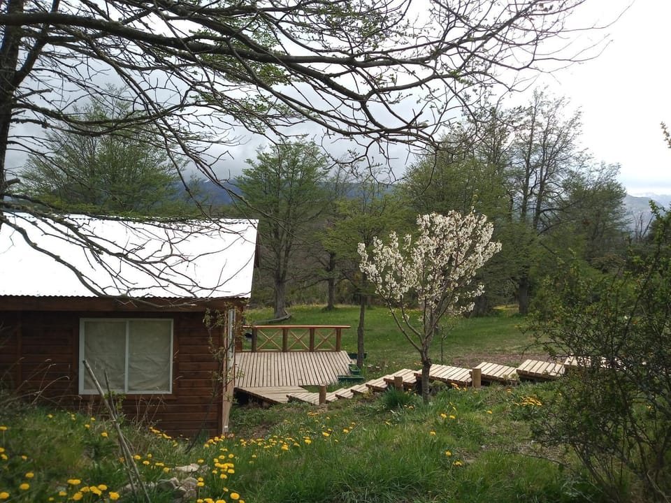 Spring, Day, Natural landscape, Garden