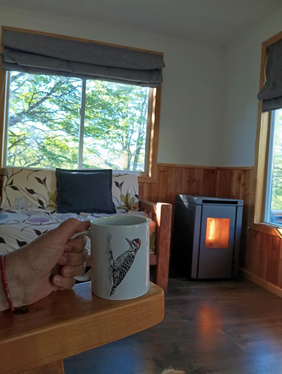 Living room, heating