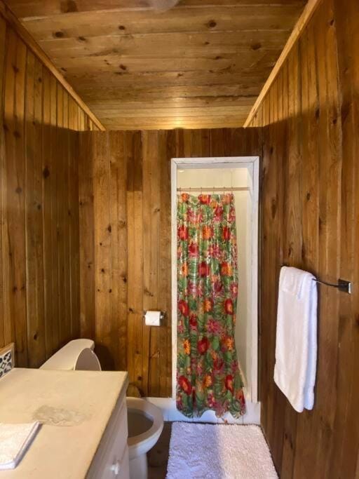 Shower, Bathroom, Photo of the whole room, towels