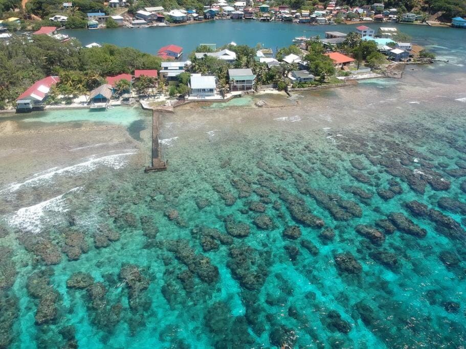 Natural landscape, Bird's eye view, Sea view