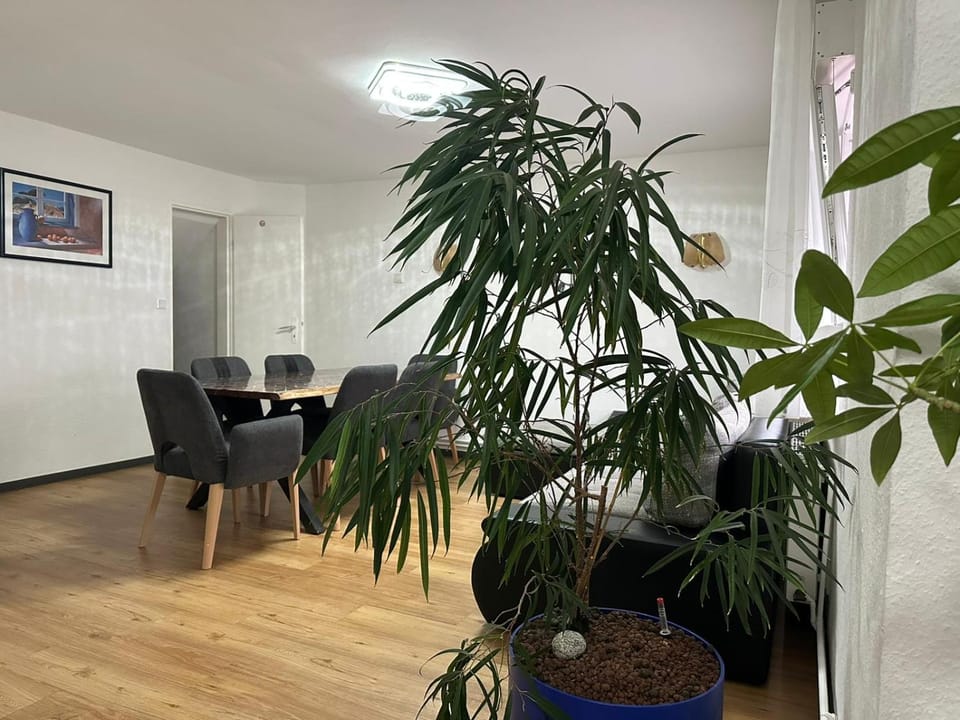 Ferienhaus in einem Wohngebiet bei Frankfurt Apartment in Hesse