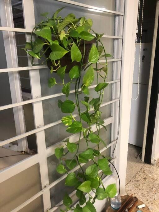 Azul Photo Studio & Apartment Apartment in Mexico City