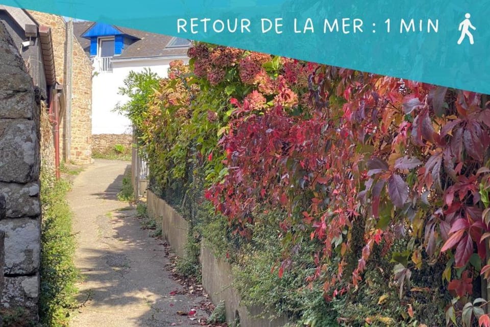 Ty Gavrinis - T2- Centre Bourg - 100m de la mer Apartment in Brittany