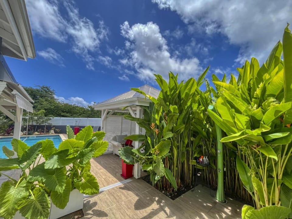 Garden, Garden view, Pool view, Swimming pool, sunbed