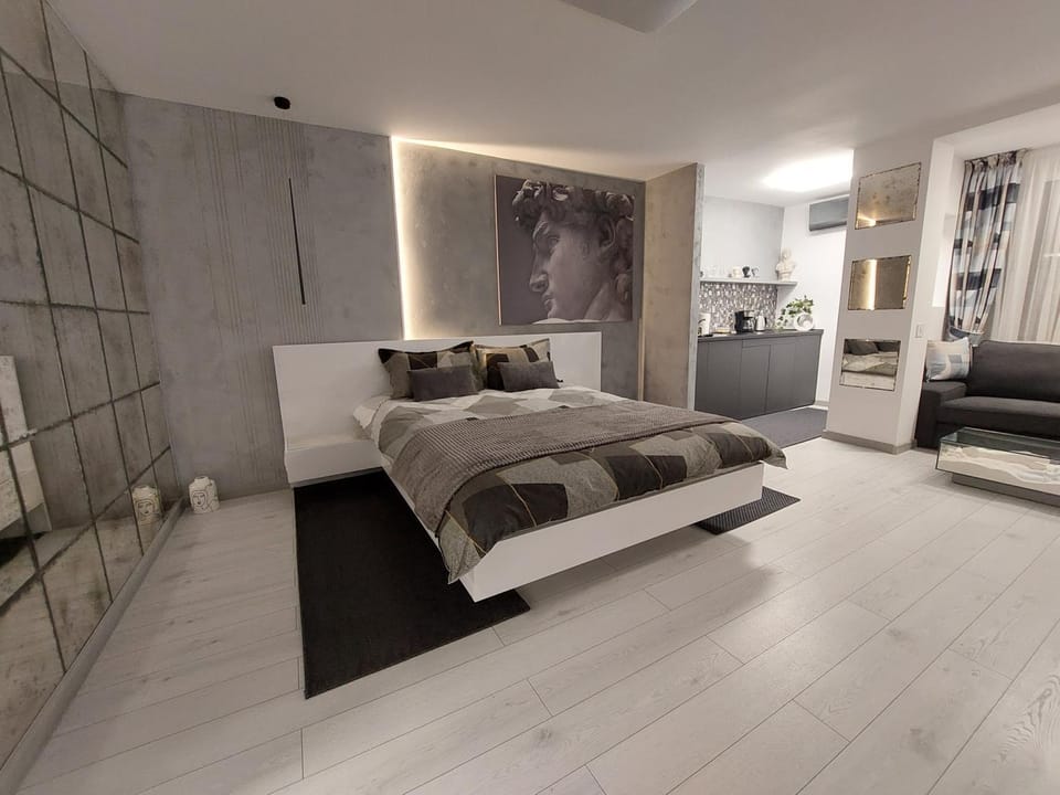 DAVID's studio Apartment in Timisoara