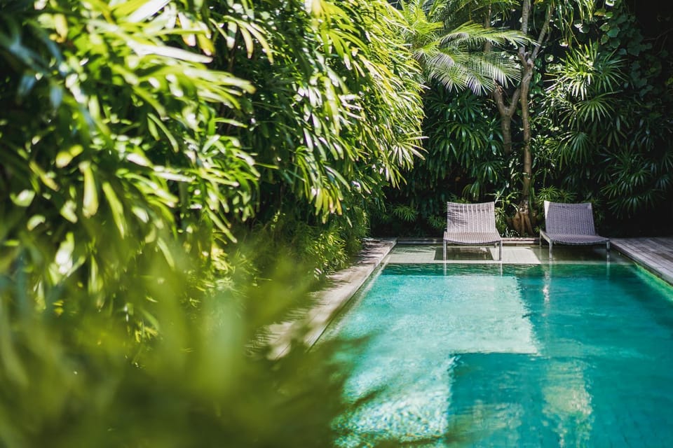 Natural landscape, Garden, Pool view, sunbed