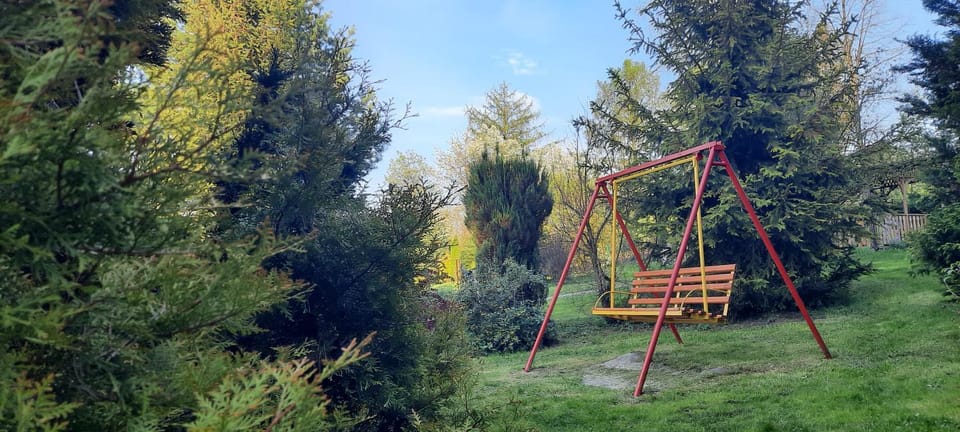 Children play ground