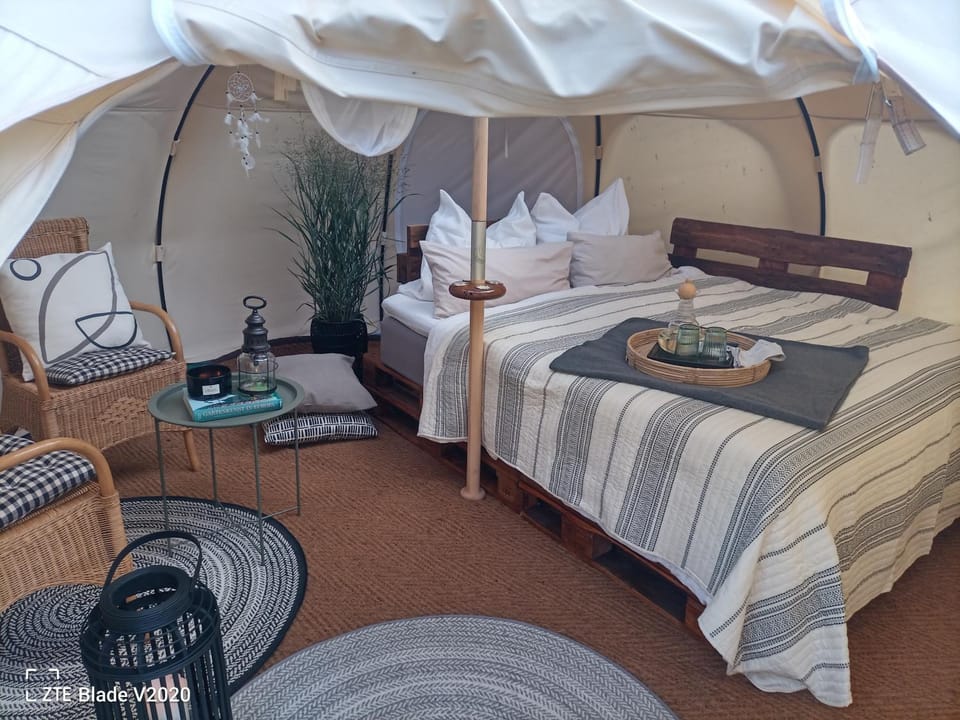 Bed, Photo of the whole room, Seating area