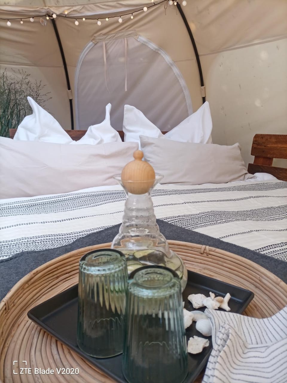 Bed