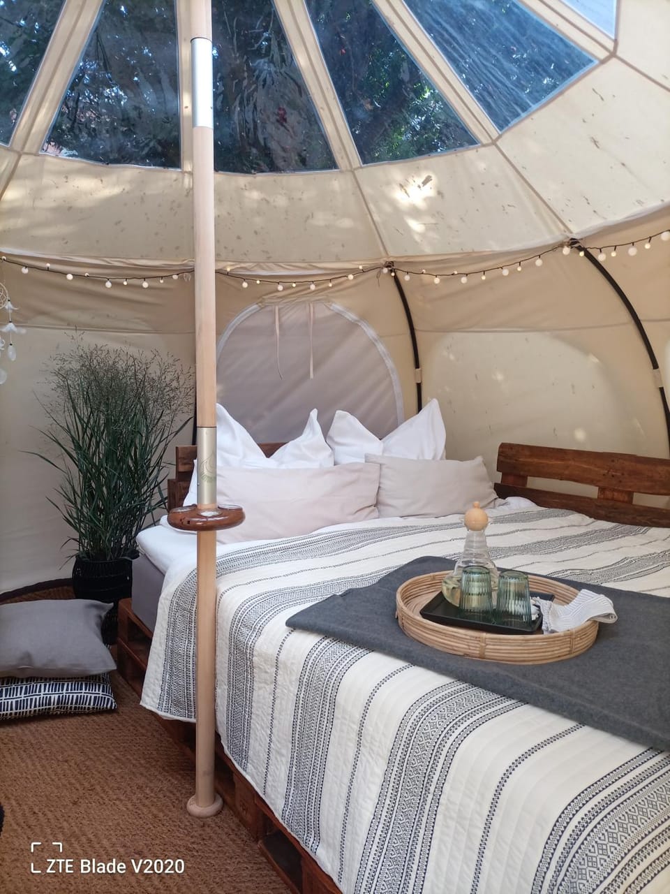 Bed, Photo of the whole room