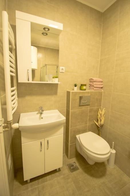 WHITE FIELDS-Central 2-bdrm apartment with parking Apartment in Novi Sad