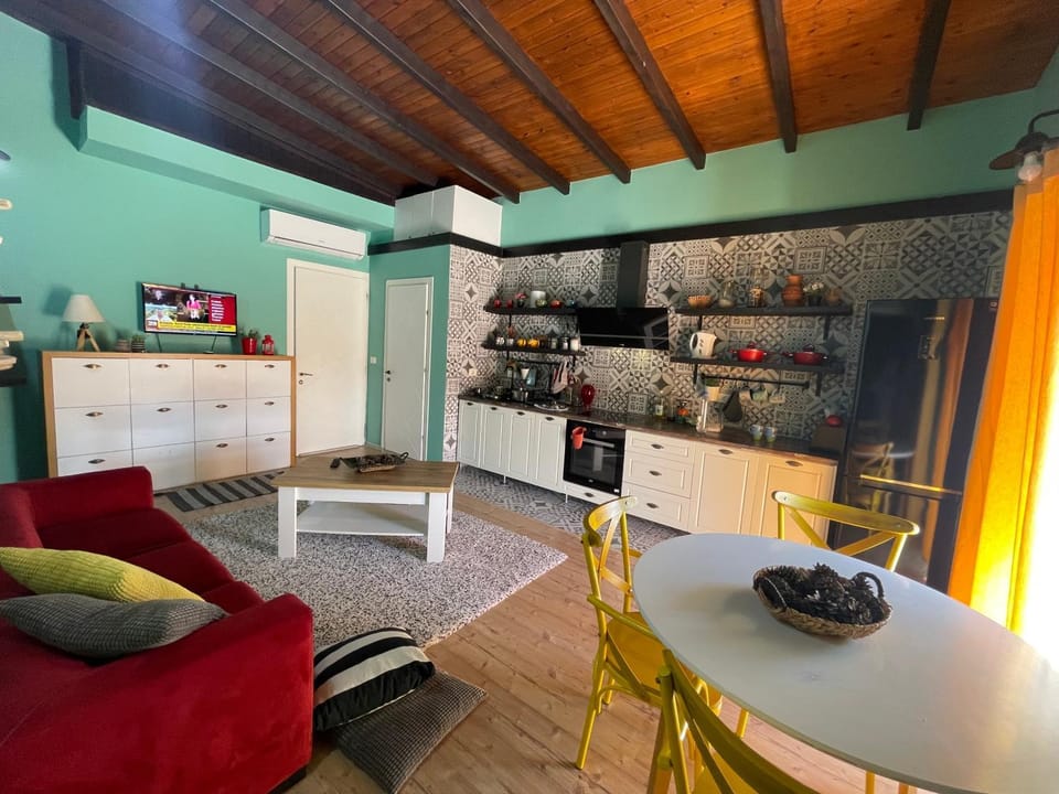 Twins house Gjirokaster Apartment in Vlorë County, Albania