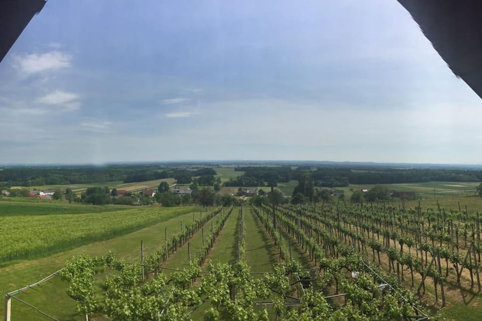 Apartma Sonček - House in the vineyard House in Styria